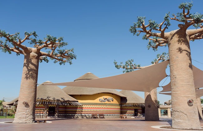 Dubai Safari Park in Dubai - A Guide Dubai Safari Park in Dubai - A Guide